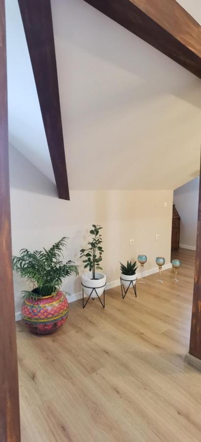 Mitra Luxury Apartments シュメン エクステリア 写真